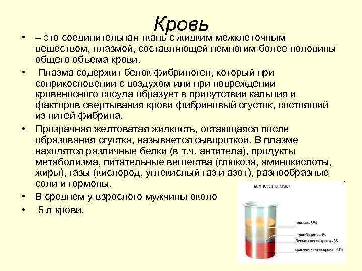  • • • Кровь межклеточным – это соединительная ткань с жидким веществом, плазмой,