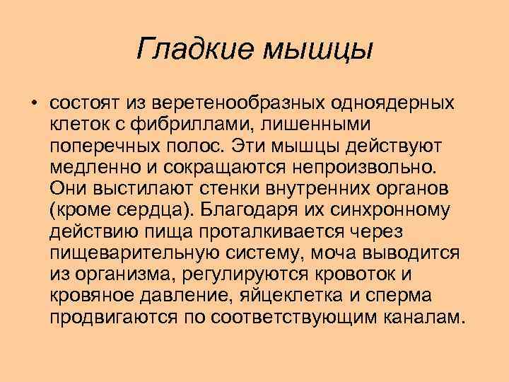 Гладкие мышцы • состоят из веретенообразных одноядерных клеток с фибриллами, лишенными поперечных полос. Эти