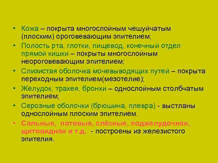  • Кожа – покрыта многослойным чешуйчатым (плоским) ороговевающим эпителием; • Полость рта, глотки,