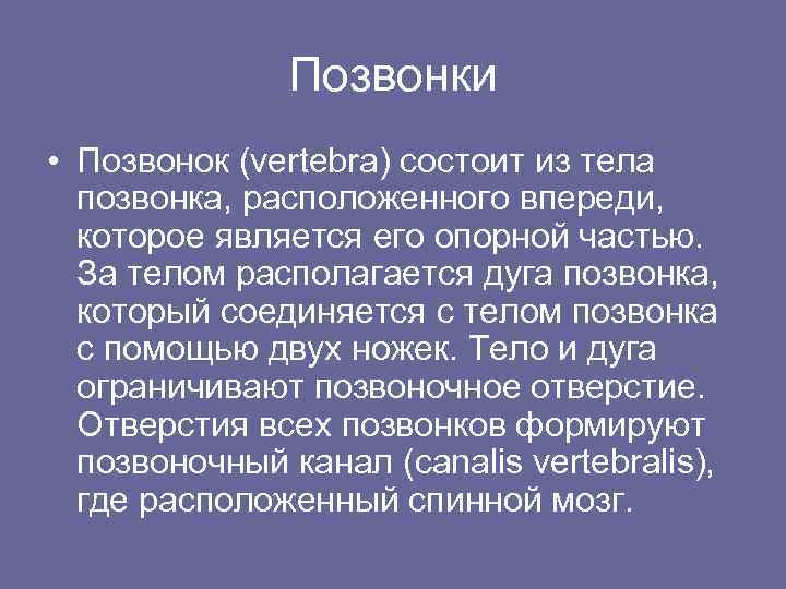 Позвонки • Позвонок (vertebra) состоит из тела позвонка, расположенного впереди, которое является его опорной