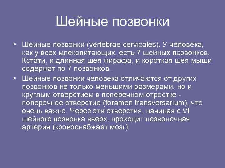 Шейные позвонки • Шейные позвонки (vertebrae cervicales). У человека, как у всех млекопитающих, есть