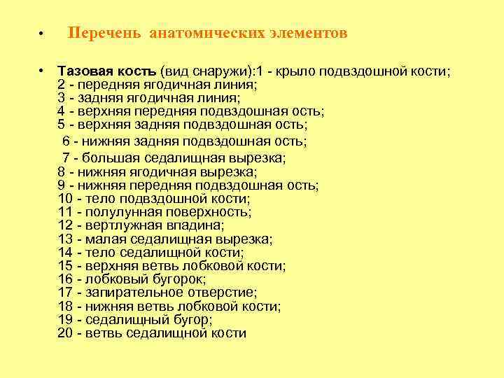  • Перечень анатомических элементов • Тазовая кость (вид снаружи): 1 - крыло подвздошной