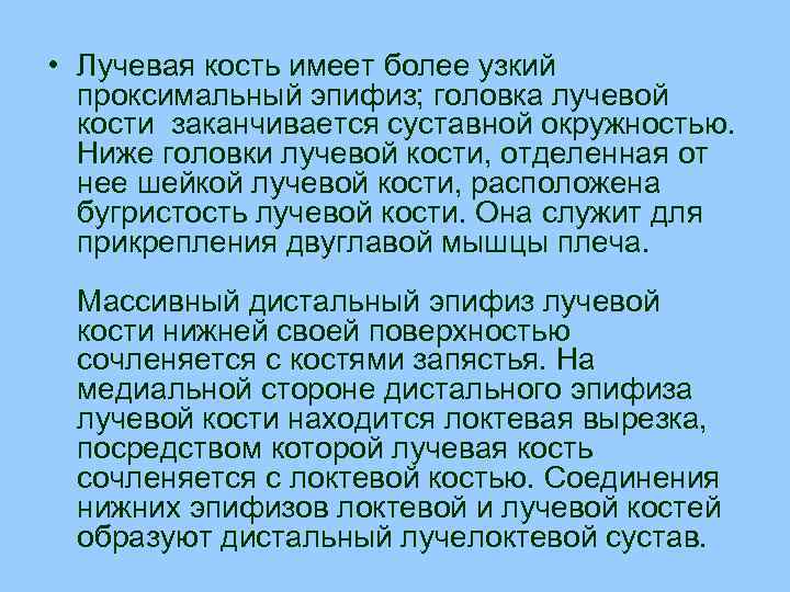  • Лучевая кость имеет более узкий проксимальный эпифиз; головка лучевой кости заканчивается суставной
