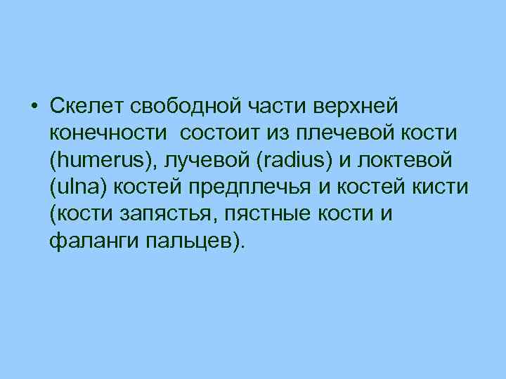  • Скелет свободной части верхней конечности состоит из плечевой кости (humerus), лучевой (radius)