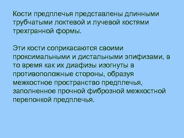 Кости предплечья представлены длинными трубчатыми локтевой и лучевой костями трехгранной формы. Эти кости соприкасаются