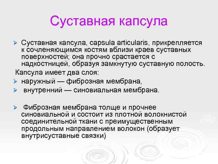 Суставная капсула, capsula articularis, прикрепляется к сочленяющимся костям вблизи краев суставных поверхностей; она прочно