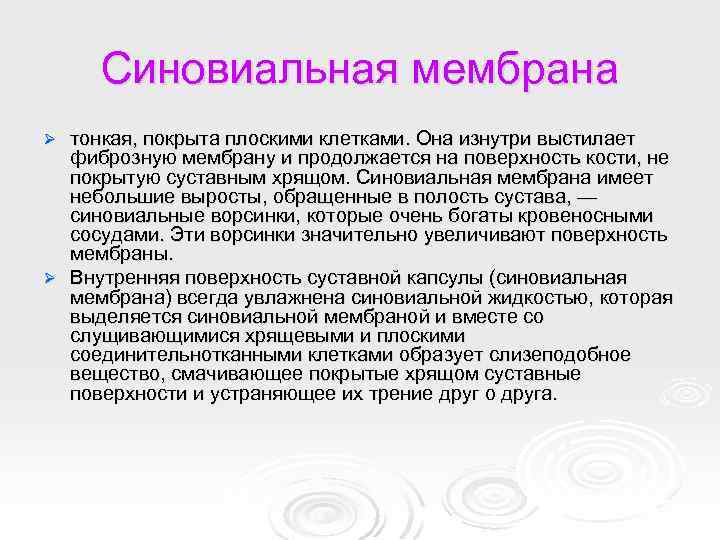 Синовиальная мембрана тонкая, покрыта плоскими клетками. Она изнутри выстилает фиброзную мембрану и продолжается на