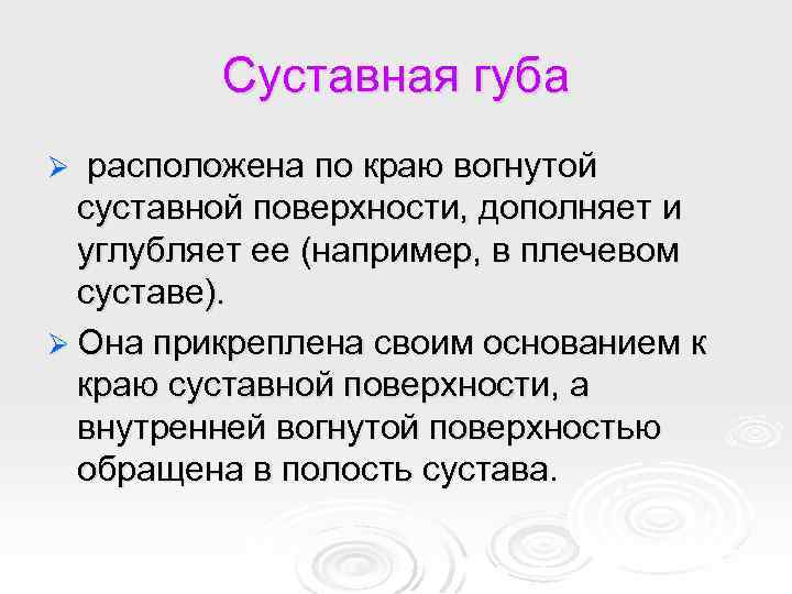 Суставная губа расположена по краю вогнутой суставной поверхности, дополняет и углубляет ее (например, в