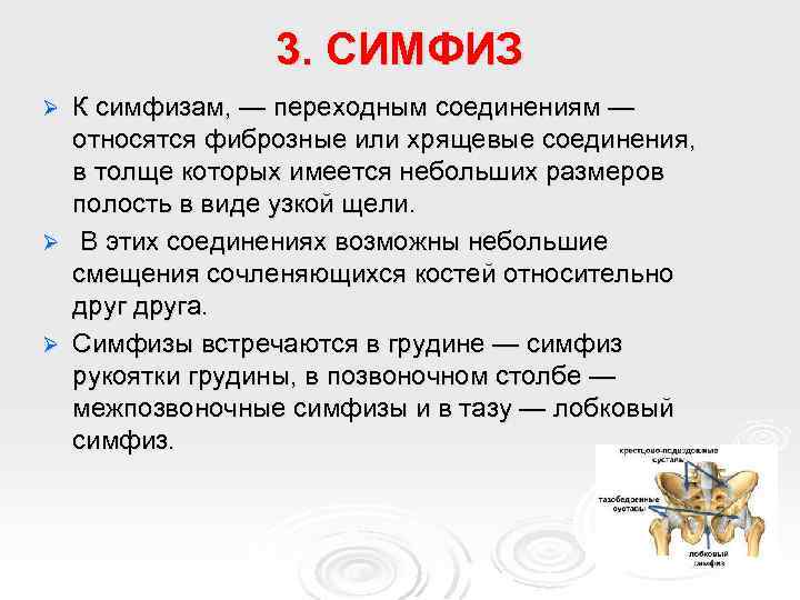 3. СИМФИЗ К симфизам, — переходным соединениям — относятся фиброзные или хрящевые соединения, в