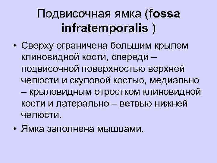 Подвисочная ямка (fossa infratemporalis ) • Сверху ограничена большим крылом клиновидной кости, спереди –