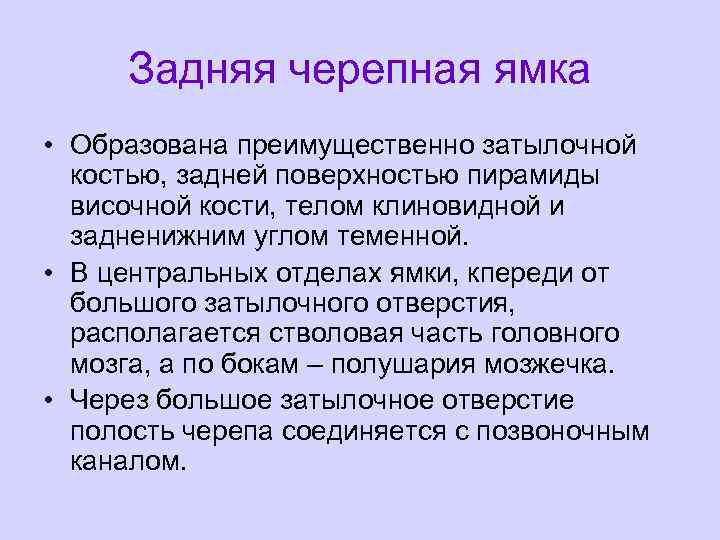 Задняя черепная ямка • Образована преимущественно затылочной костью, задней поверхностью пирамиды височной кости, телом