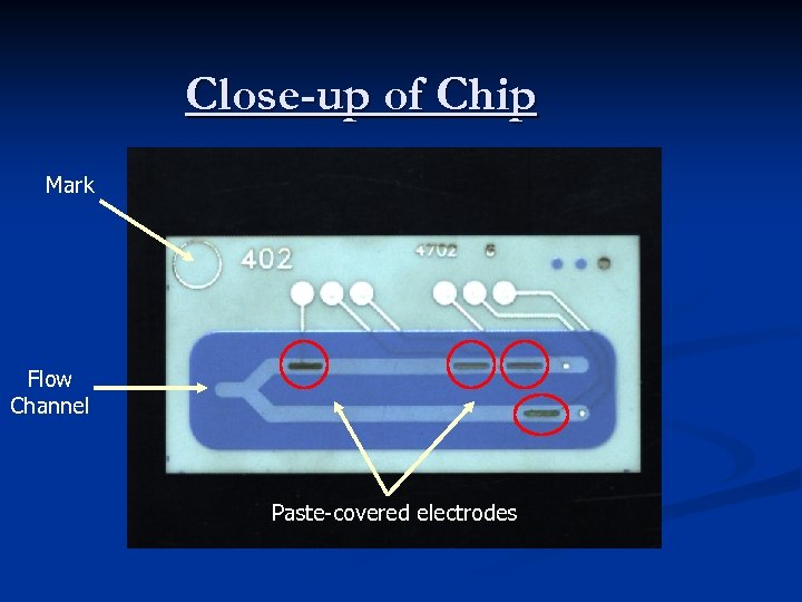 Close-up of Chip Mark Flow Channel Paste-covered electrodes 