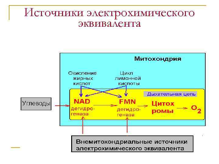 Источники электрохимического эквивалента 