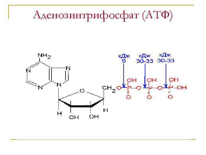 Молекула атф макроэргические связи. Макроэргические соединения строение. Макроэргическое соединение АТФ. Макроэргические соединения биохимия. Макроэргические соединения гликолиза.