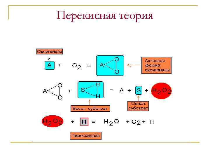 Перекисная теория 