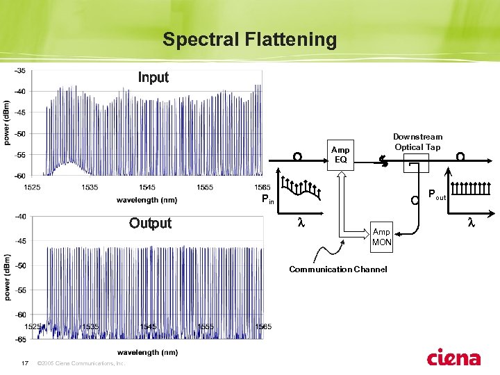 Spectral Flattening Input Downstream Optical Tap Amp EQ Pout Pin Output l Amp MON