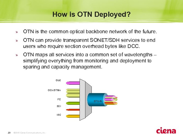 How is OTN Deployed? » OTN is the common optical backbone network of the