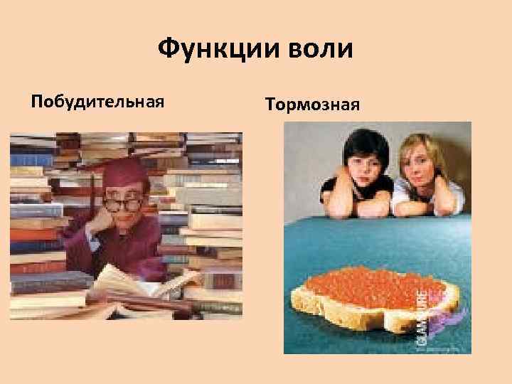 Примеры воли. Функции воли. Побудительная функция воли. Побудительная и тормозная функции воли. Функции воли примеры.