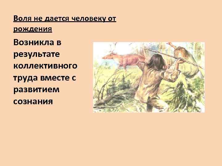 Воля не дается человеку от рождения Возникла в результате коллективного труда вместе с развитием