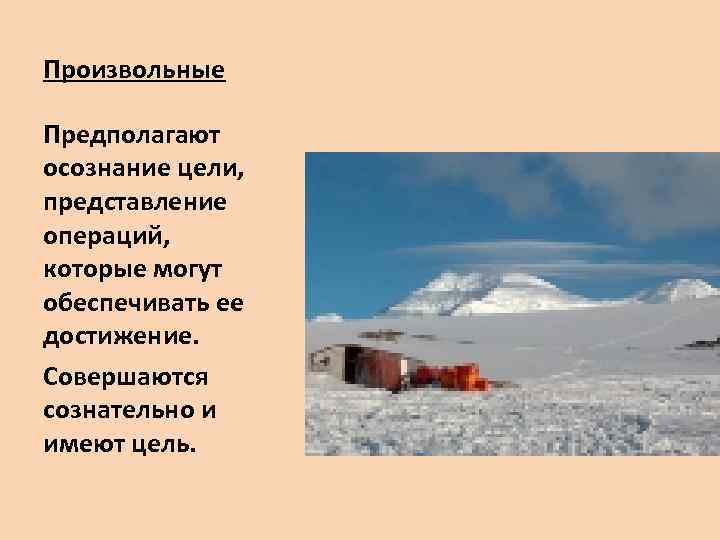 Произвольные Предполагают осознание цели, представление операций, которые могут обеспечивать ее достижение. Совершаются сознательно и