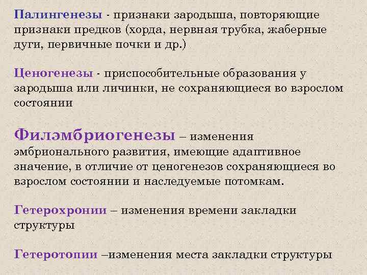 Палингенезы - признаки зародыша, повторяющие признаки предков (хорда, нервная трубка, жаберные дуги, первичные почки