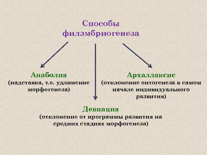 Способы филэмбриогенеза Анаболия Архаллаксис (надставка, т. е. удлинение морфогенеза) (отклонение онтогенеза в самом начале