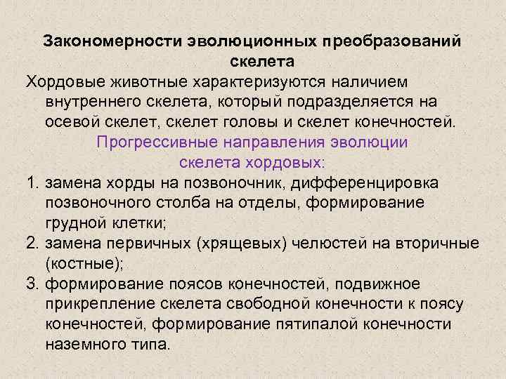 Закономерности эволюционных преобразований скелета Хордовые животные характеризуются наличием внутреннего скелета, который подразделяется на осевой