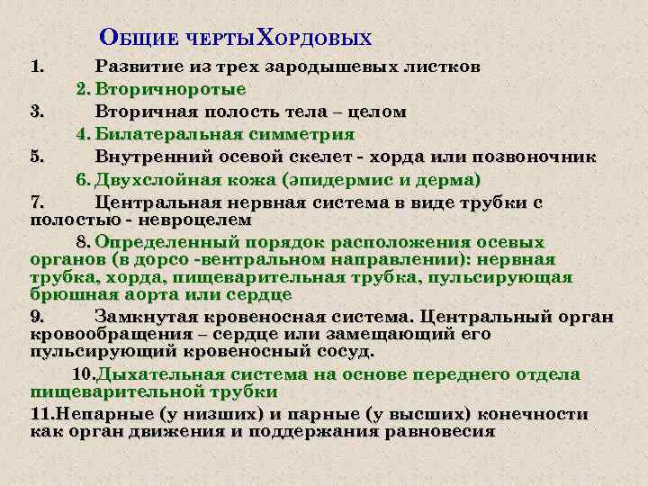 ОБЩИЕ ЧЕРТЫ ХОРДОВЫХ 1. Развитие из трех зародышевых листков 2. Вторичноротые 3. Вторичная полость