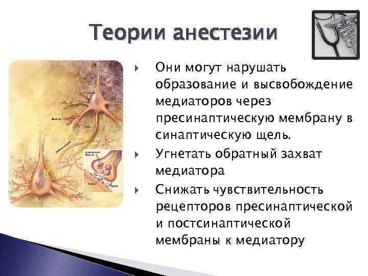 Теории анестезии Они могут нарушать образование и высвобождение медиаторов через пресинаптическую мембрану в синаптическую