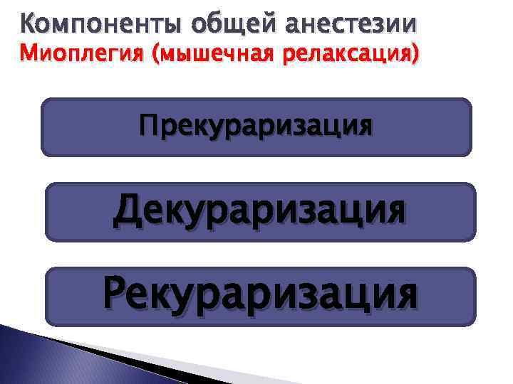 Компоненты общей анестезии Миоплегия (мышечная релаксация) Прекураризация Декураризация Рекураризация 