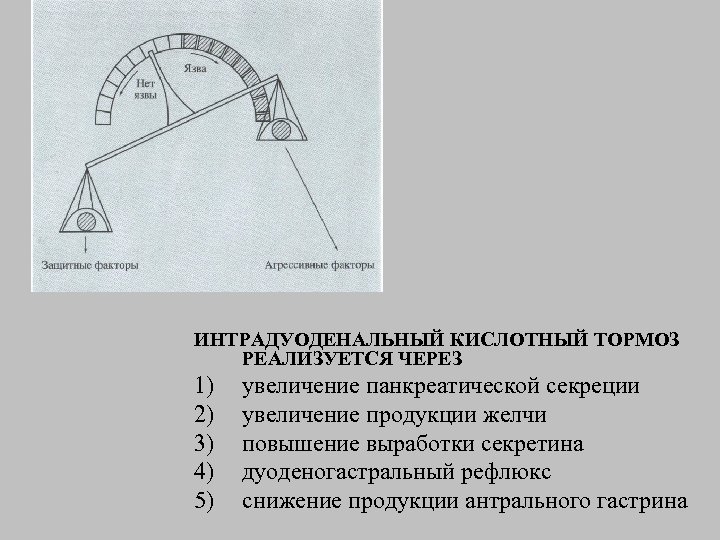 ИНТРАДУОДЕНАЛЬНЫЙ КИСЛОТНЫЙ ТОРМОЗ РЕАЛИЗУЕТСЯ ЧЕРЕЗ 1) 2) 3) 4) 5) увеличение панкреатической секреции увеличение