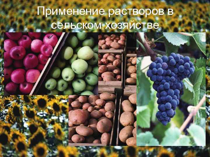 Применение растворов в сельском хозяйстве 