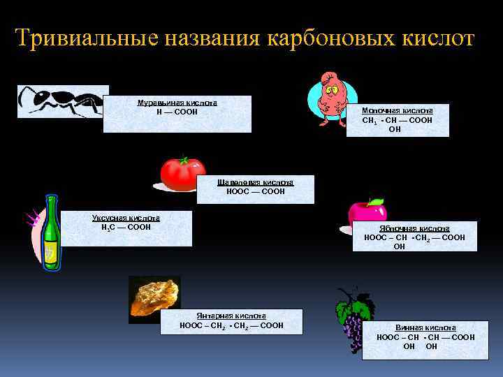 Карбоновые кислоты презентация по химии 10 класс