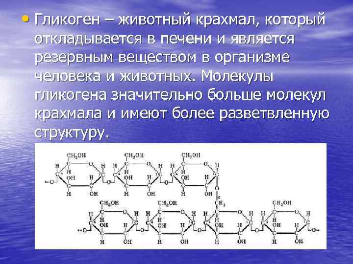  • Гликоген – животный крахмал, который откладывается в печени и является резервным веществом