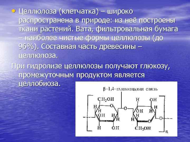  • Целлюлоза (клетчатка) – широко распространена в природе: из неё построены ткани растений.