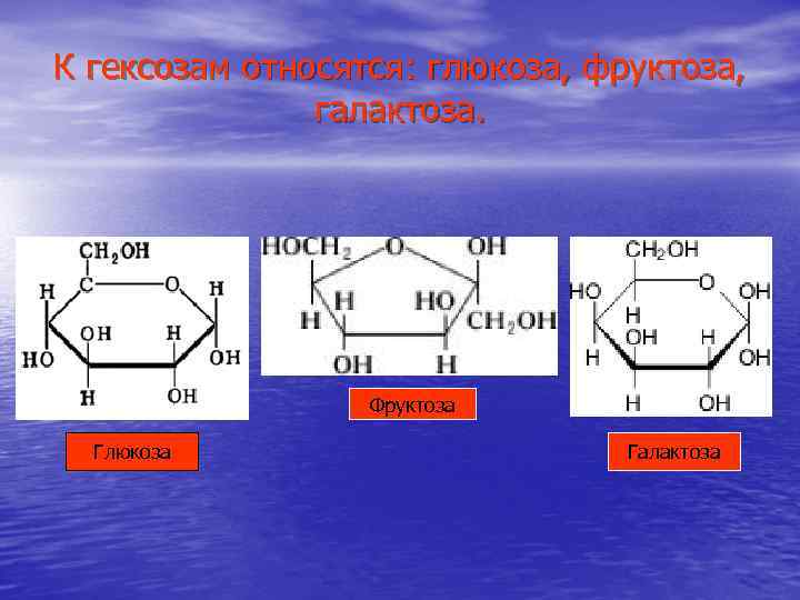 К гексозам относятся: глюкоза, фруктоза, галактоза. Фруктоза Глюкоза Галактоза 