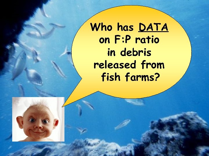 Who has DATA on F: P ratio in debris released from fish farms? 