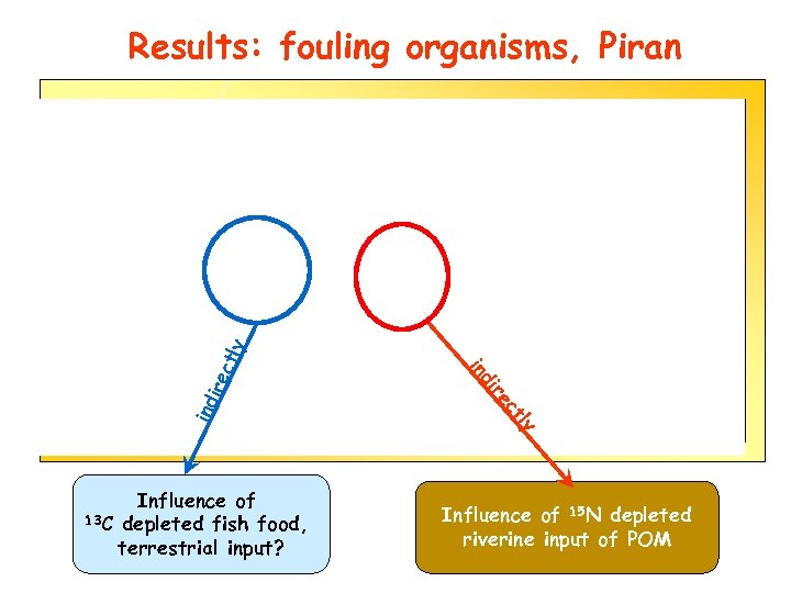 tly ire ind c re di Influence of 13 C depleted fish food, terrestrial