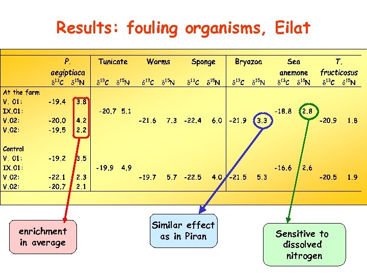 Results: fouling organisms, Eilat enrichment in average Similar effect as in Piran Sensitive to
