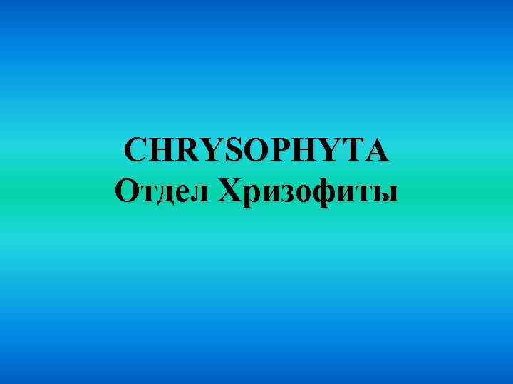 CHRYSOPHYTA Отдел Хризофиты 