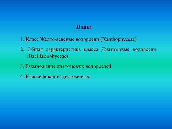 План: 1. Класс Желто-зеленые водоросли (Xanthophyceae) 2. Общая характеристика класса Диатомовые водоросли (Bacillariophyceae) 3.