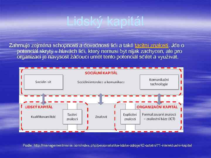 Lidský kapitál Zahrnuje zejména schopnosti a dovednosti lidí a také tacitní znalosti. Jde o