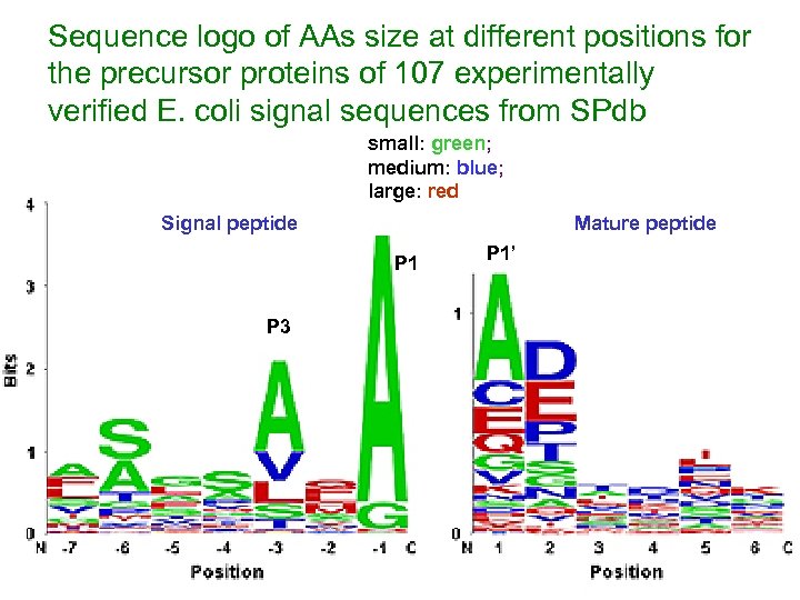 Sequence logo of AAs size at different positions for the precursor proteins of 107