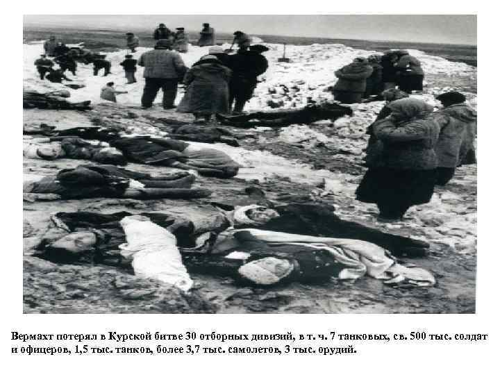 Вермахт потерял в Курской битве 30 отборных дивизий, в т. ч. 7 танковых, св.