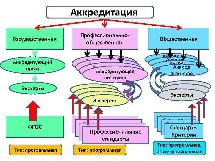 Аккредитация Государственная Аккредитующий орган Эксперты ФГОС Тип: программная Профессиональнообщественная Аккредитующее агентство Эксперты Профессиональные стандарты