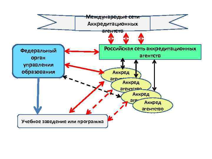 Международые сети Аккредитационных агентств Федеральный орган управления образования Российская сеть аккредитационных агентств Аккред агентство