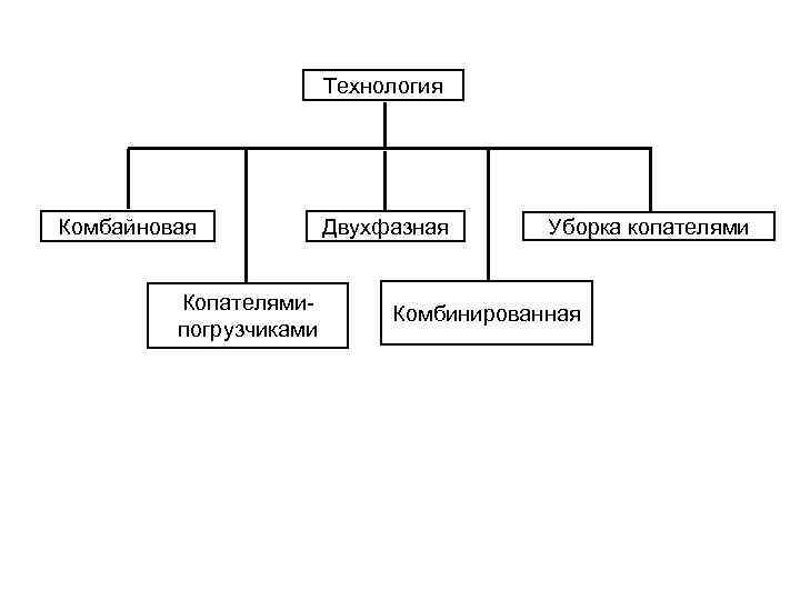 Технология Комбайновая Копателямипогрузчиками Двухфазная Уборка копателями Комбинированная 