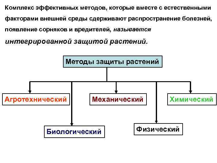 Комплекс эффективных методов, которые вместе с естественными факторами внешней среды сдерживают распространение болезней, появление