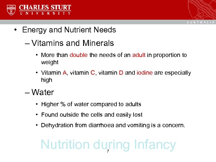  • Energy and Nutrient Needs – Vitamins and Minerals • More than double