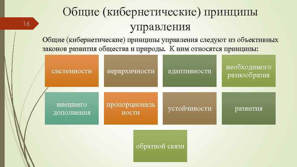 16 Общие (кибернетические) принципы управления следуют из объективных законов развития общества и природы. К